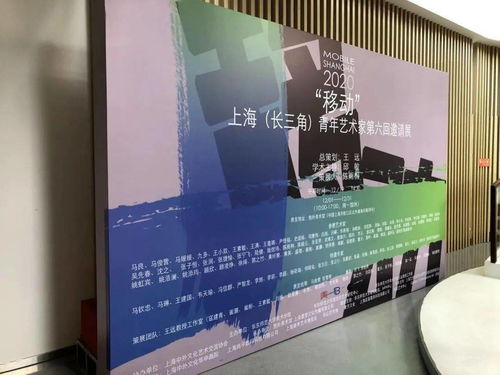 上海中外文化藝術(shù)交流協(xié)會2021年第一次工作會議 推動文化藝術(shù)交流新篇章